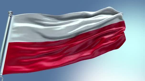 Рендеринговое Видео Польша Ждет Ветру Флаг Польши Волновая Петля Машет — стоковое видео