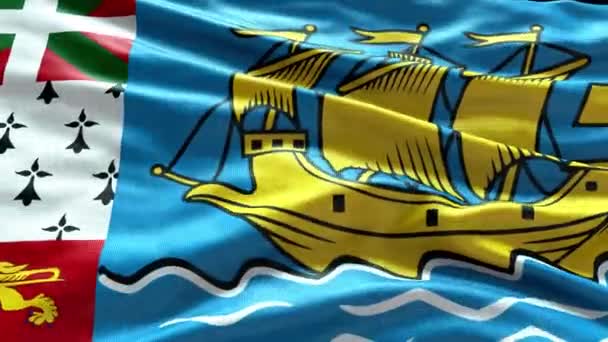 Saint Pierre Miquelon Flag Rüzgarda Dalgalanan Videosu Aziz Pierre Miquelon — Stok video