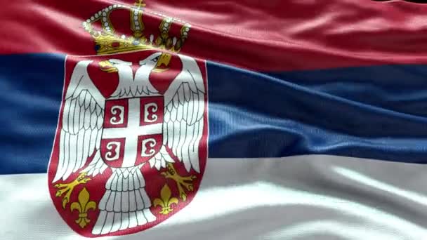 Render Serbia Bandera Vídeo Ondeando Viento Serbia Flag Wave Loop — Vídeo de stock