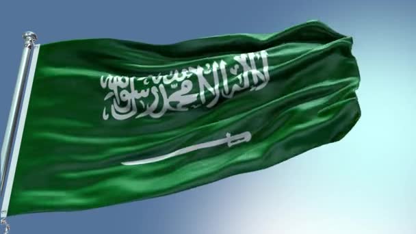 Suudi Arabistan Bayrağı Nın Rüzgarda Dalgalanan Görüntüsü Suudi Arabistan Bayrak — Stok video
