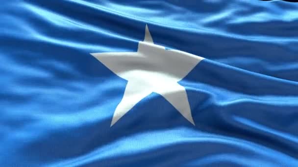 Render Somalia Bandera Vídeo Ondeando Viento Somalia Bandera Wave Loop — Vídeo de stock
