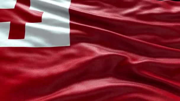 Render Tonga Flag Videó Integetett Szélben Tonga Flag Wave Loop — Stock videók