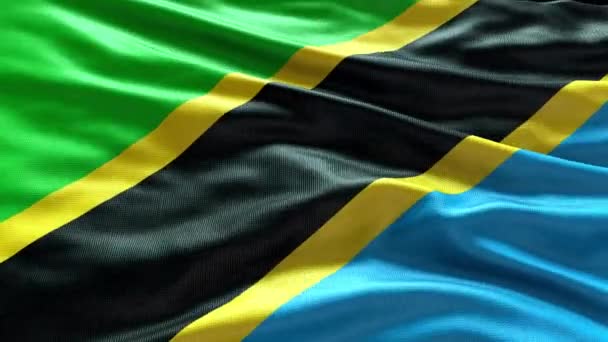 Rendent Tanzanie Drapeau Vidéo Agitant Dans Vent Tanzanie Flag Wave — Video