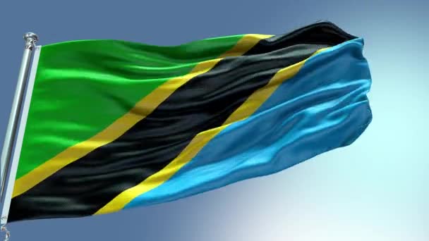 Καθιστούν Τανζανία Σημαία Βίντεο Κυματίζει Στον Άνεμο Κύμα Της Τανζανίας — Αρχείο Βίντεο