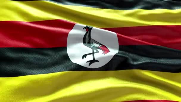Renderować Uganda Flaga Wideo Machając Wietrze Pętla Fal Ugandy Falująca — Wideo stockowe