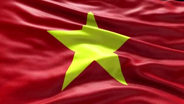 4Kレンダリングベトナムフラッグビデオ風に振る ベトナム旗の波のループが風で揺れている 現実的なベトナム旗の背景 ベトナム ループ クローズアップ 1080P — ストック動画