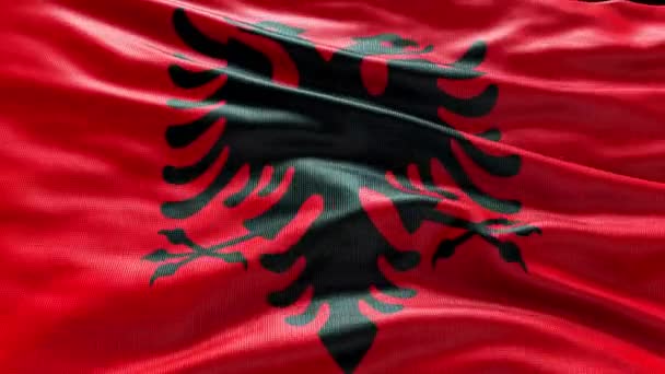Rüzgarda Dalgalanan Arnavutluk Bayrağı Videosu Arnavutluk Bayrak Dalgası Döngüsü Rüzgarda — Stok video