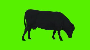 3 boyutlu yeşil ekran kroma anahtar animasyonu izole edilmiş siyah-yiyen çimen koltuk altı açısından ayakta konum