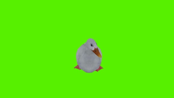 3D渲染绿色屏幕彩色键动画隔离漂亮的鸭摇头 从正面和正面的角度环顾四周 — 图库视频影像