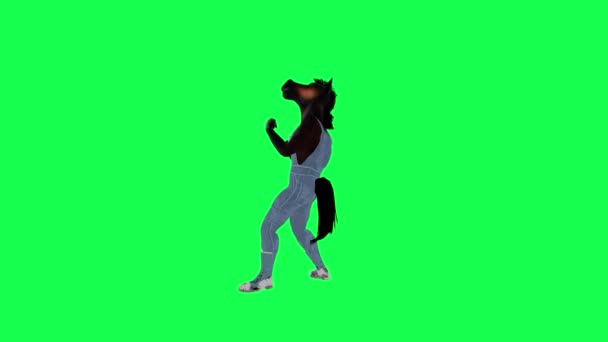 3D动画中会说话的棕色马被拳打脚踢 并在绿色屏幕上从直角说话 — 图库视频影像
