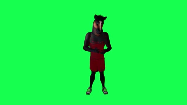 红色运动服中的棕色3D人形运动马从前面的角度在绿色屏幕上打牌3D人行走背景彩色键视觉效果动画 — 图库视频影像
