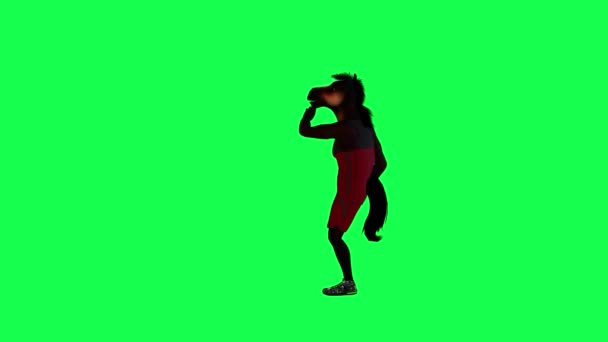 3D棕色魔法马穿着红色运动服从直角在绿色屏幕上跳髋关节舞3D人走着背景色关键视觉效果动画 — 图库视频影像