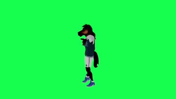 Анімований Кінь Спортивному Одязі Танцює Під Прямим Кутом Зеленому Екрані — стокове відео