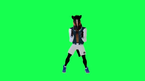 Magie Mluvící Kůň Sportovním Oblečení Dělá Hip Hop Tanec Předního — Stock video