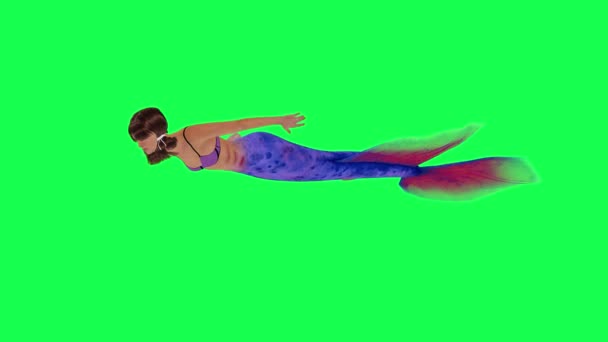 Modrá Červená Magická Druh Mořské Panny Plavání Rychle Pravého Úhlu — Stock video