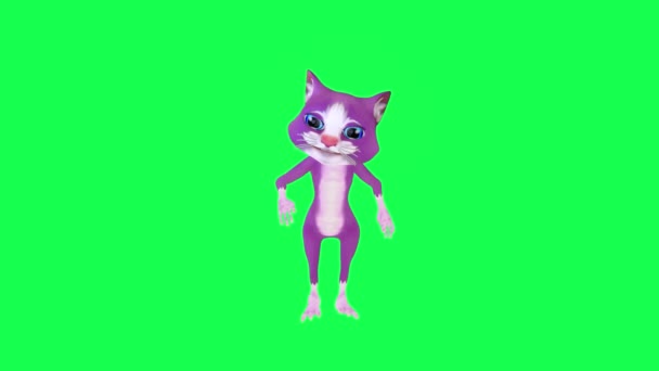 Púrpura Animado Gato Break Bailando Desde Ángulo Frontal Pantalla Verde — Vídeos de Stock