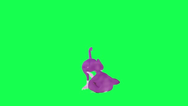 緑色のスクリーン上の反対の角度から脚で負傷するアニメーションの話す紫色の猫 人歩く背景のクロマの主な視覚効果アニメーション — ストック動画