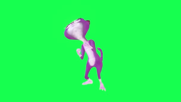在绿色屏幕上 会说话的紫色猫从相反的角度被打在3D人行背景色键视觉效果动画上 — 图库视频影像