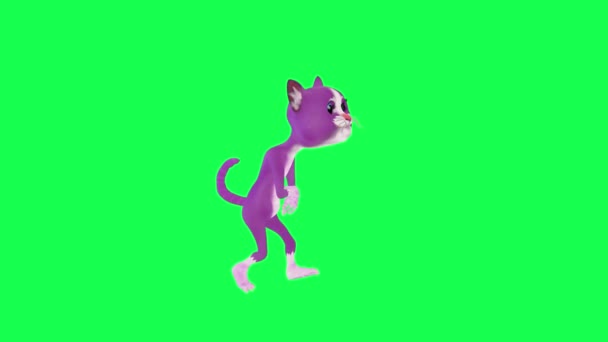 Mor Animasyon Kedi Sihirbazı Yaralanmış Duvara Çarpmış Yeşil Ekran Üzerinde — Stok video