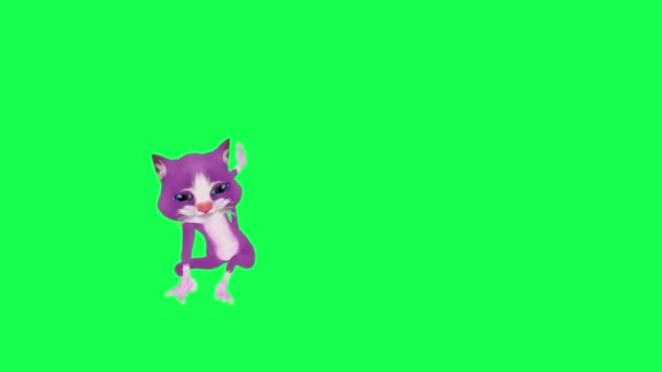 紫色3D卡通片魔鬼的嘴猫从相反的角度在绿色屏幕上跳舞和拍拍3D人行走背景彩色键视觉效果动画 — 图库视频影像