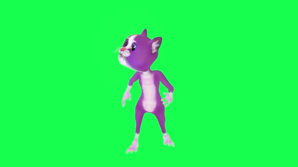 Фіолетовий Мультфільм Кіт Диявол Прес Секретар Протилежним Кутом Зеленому Екрані — стокове відео