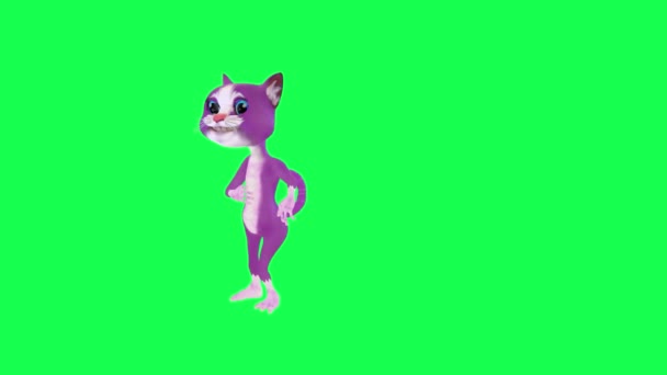 紫色的对话3D动画猫从直角跳起 在绿色屏幕3D上行走的人背景色关键视觉效果动画 — 图库视频影像