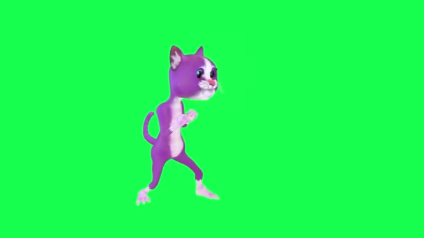 Mluvící Fialová Kočičí Boj Kopání Levého Úhlu Zelené Obrazovce Lidé — Stock video