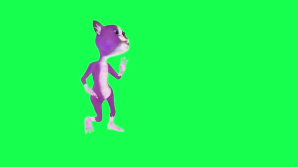 Fialové Karikatura Kočka Tanec Boky Levého Úhlu Zelené Obrazovce Lidé — Stock video