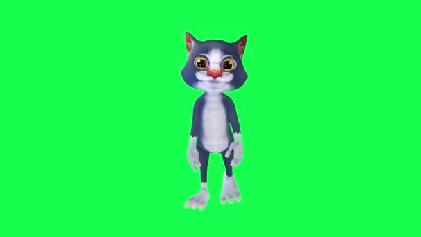 青3Dアニメーション猫 緑の画面のフロント角度から歩く 人歩く背景クロマキービジュアルエフェクトアニメーション — ストック動画