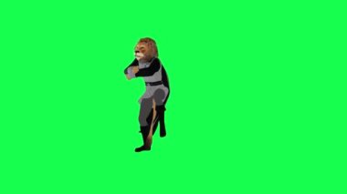 Gri kıyafetli dövüşçü aslan Gangnam tarzı krom anahtar yeşil ekran karakter karikatüründen izole edilmiş şirin krom anahtar animasyonu