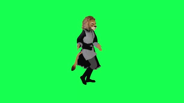 Jungle King Dancing Salsa Front Angle Isolated Green Screen Character — Stock Video