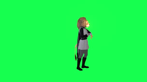身着灰色黑色服装的英雄狮子跳嘻哈舞色键隔离在绿屏卡通片中可爱的色键背景动画中 — 图库视频影像