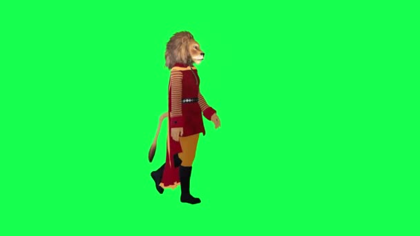 3D动画狮子身穿红色衣服和斗篷行走左角孤立的绿色屏幕人物卡通片可爱的彩色键背景动画 — 图库视频影像