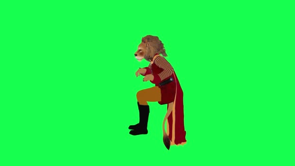 3D动画狮子坐在那里等着说孤立的直角绿色屏幕人物漫画可爱的色彩键背景动画 — 图库视频影像