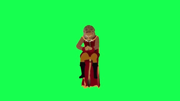 Animated Lion King Writing Letter Isolated Front Angle Green Screen — Stock Video