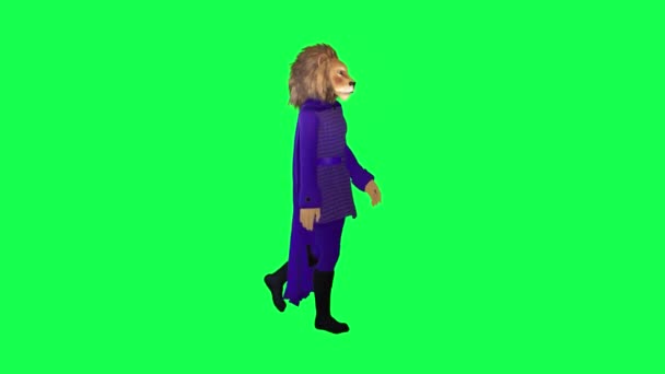 Великий Лев Фиолетовом Платье Ходьба Левого Угла Зеленый Экран Персонаж — стоковое видео