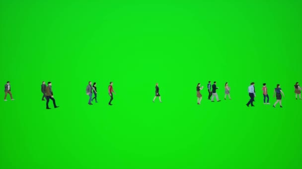 크로마 화면의 효과를 시각화하기 아래로 사람들의 군중의 애니메이션 사람들 Redner — 비디오