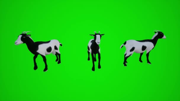 Animação Com Três Ângulos Diferentes Para Visualizar Efeitos Visuais Croma — Vídeo de Stock