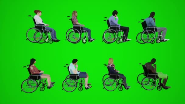 クロマキー3Dの人々赤いクロマキー背景アニメーション男と女性の話の緑の画面の側からヨーロッパのアフリカアメリカの路上で車椅子に移動する車椅子の種類の男の3Dアニメーション — ストック動画