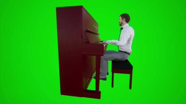 一个男老师在餐馆里弹钢琴的3D动画从绿色彩色键三角形的角度3D 3D人红彩色键背景动画男男女女走路交谈 — 图库视频影像