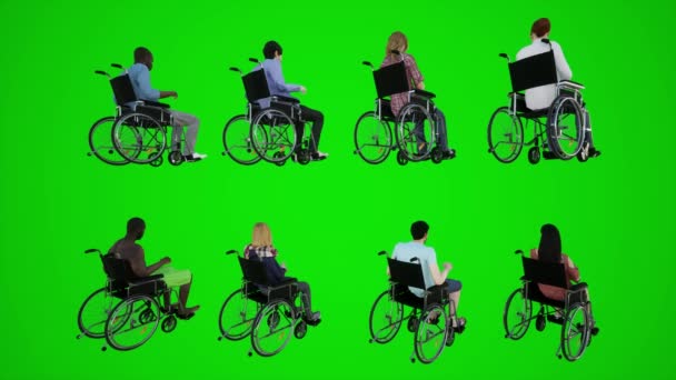アフリカの3Dグリーンスクリーン車椅子市民 アジアヨーロッパ 3つの角3Dの人々赤いクロマのキーバックグラウンドアニメーション男と女性の歩く話から通りを移動車椅子の上に座って — ストック動画