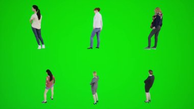 Yeşil ekranda dikilen ve sokakta bekleyen altı kadının 3 boyutlu animasyonu. Chromaki animasyonu, insanları üç açıdan çekerek krom anahtar animasyoncu kalabalığı yürütür ve konuşturur.