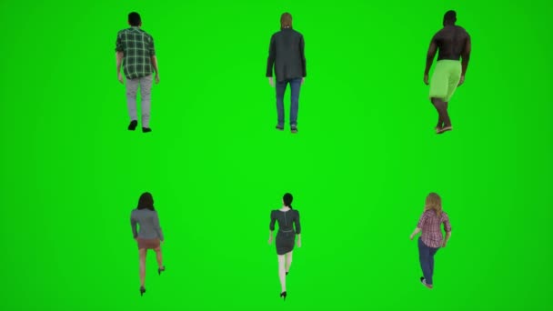 3Dグリーンスクリーン6人の男性と女性が背面角度3Dの人々赤いクロマキー背景アニメーション男と女性の歩く話から動物園を歩きます — ストック動画