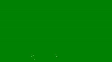 Yeşil ekranda dinamik bir şekilde parlayan canlı bir enerji çizgisi, hareket grafikleri, bilim kurgu tanıtımları ya da ışıl ışıl görselleri olan sihirli animasyonlar için mükemmel..