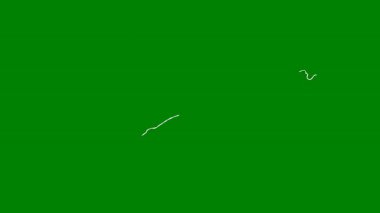 Yeşil ekranda parlak, dairesel, mavi bir enerji girdabı. Bilim kurgu tanıtımları veya büyülü animasyonlar için mükemmel..