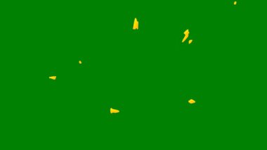 Dinamik dönen parçacıklarla yeşil ekran efekti, dijital video projelerinde geçiş veya özel efektler yaratmak için mükemmeldir.