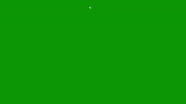 Canlı yeşil ekran arkaplanı üzerinde parlayan beyaz çizgilerden oluşan parlak bir küme, bilim kurgu görselleri, sinematik geçişler ve fütürist video düzenleme projeleri için mükemmel..