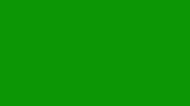 Hareketli akışkan hareketli beyaz ışıltı, hareketli tasarım ve video projelerinde kusursuz geçiş için ideal.