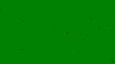 Geniş çizgileri olan soyut bir yeşil ekran geçişi. Bu akışkan hareket videolara dinamik bir hareket ekler, onu enerjik video düzenlemeleri ve yaratıcı tasarımlar için ideal kılar..