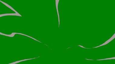 Hareketi ve zarafeti gösteren kıvrımlı çizgileri olan akışkan yeşil bir ekran geçişi. Yüksek kaliteli video projelerinde zarif ve pürüzsüz geçişler için ideal.